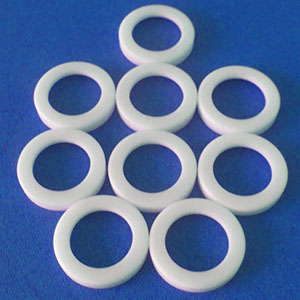 PTFE seals